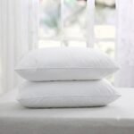 White Filled Pillows Pack of 2 PCs