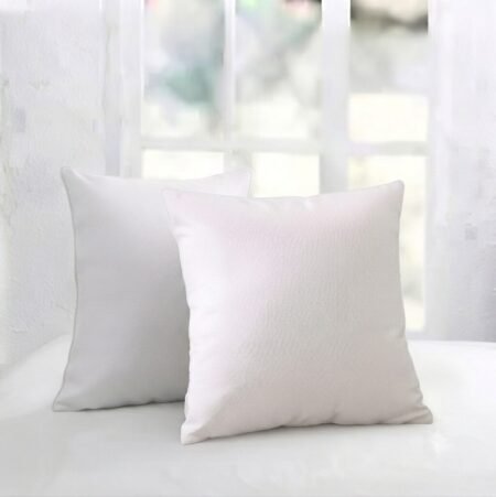 Filled Cushions-2 PCs